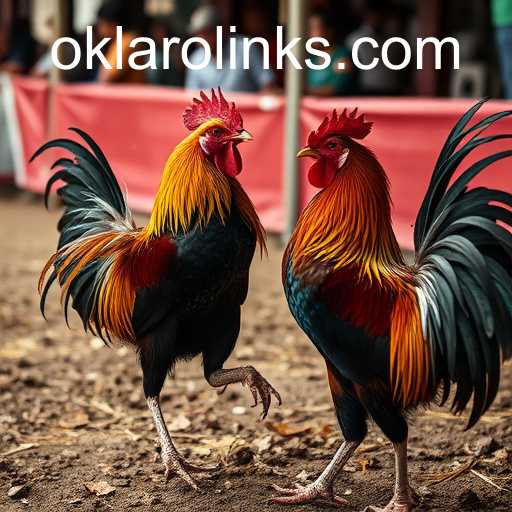 Exploring the Dynamics of Sabong Games: The Oklaro Approach